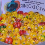 Peperone di Cuneo